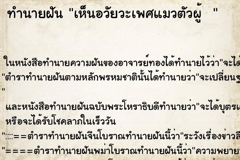 ทำนายฝันทำนายฝันเห็นอวัยวะเพศแมวตัวผู้